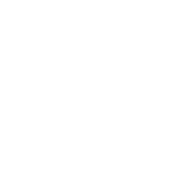 list item image