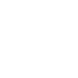 list item image