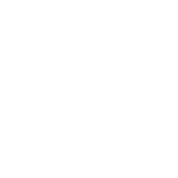 list item image